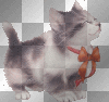 kitten ribbon