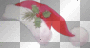 zima  christmas xmas winter