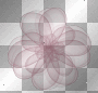 ASTRLA FLOWER
