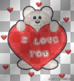 i love you bear