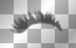 Britney Top Left Lash