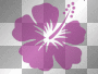 Hawaiiblume Hawaiiblume