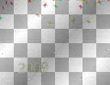 Happy New Year 2009! (Horizontal)