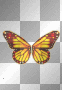 Red & Yellow Butterfly ;-} Red & Yellow Butterfly ;-}