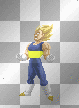Vegeta de Boca