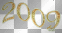 2009