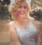 pretty marilyn pretty marilyn