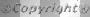 Copyright