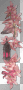 pink flowers lantern bow animated