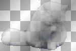 cat chat animated white