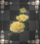 Frame with yellow roses