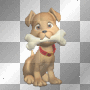 puppy with a bone
