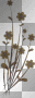 Brown Flowers =^-^=
