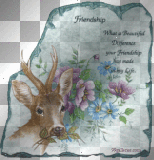 friendship friendship
