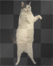 Kitty Cat Dance Stamp