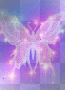 plusating rainbow butterfly