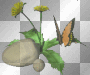 butterfly,trasparent,animated,cute,flower