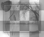 TLO,  transparent Background 