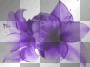  klar transparent deco