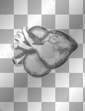 pumpn heart