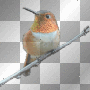 Animated Bird =^-^=