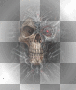 Transparent Skull =^-^=