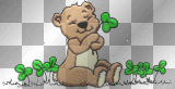 Irish Bear Irish Bear