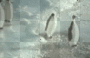 Penguins