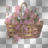 pink roses