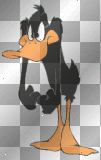 Daffy