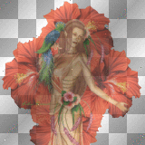 orange fairy