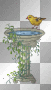 *bird:)