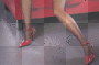 legs
