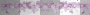 purple border3