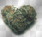 heart me