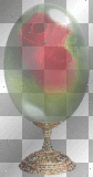 Rose Drop Globe