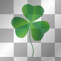 st patricks day  