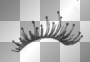 Party Girl Top Right Lash Party Girl Top Right Lash