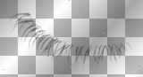 Fine Long Left Bottom Lash Fine Long Left Bottom Lash