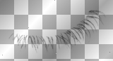 Fine Long Bottom Right Lash Fine Long Bottom Right Lash