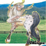 Fashion Horse in Pasture