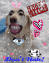 oh noooo uggy doggie lol