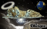 Kumal 2