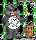 dope danger bear