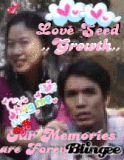 Love Seed