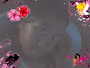 danise06