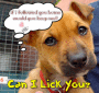 will you adopt me? will you adopt me?