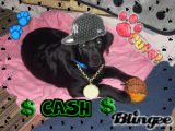 Cash