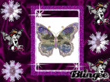PIXIES & BUTTERFLY/ FLOWERS