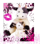 vache